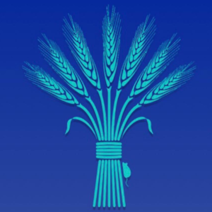 The Revel - Holiday Camp Booking